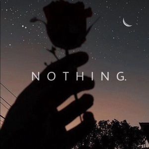 Meet your Posher, Krystal